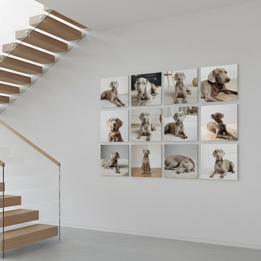 Fotokachel - Fotowand gestalten - 1er Set - Quadrat 16 x 16 cm